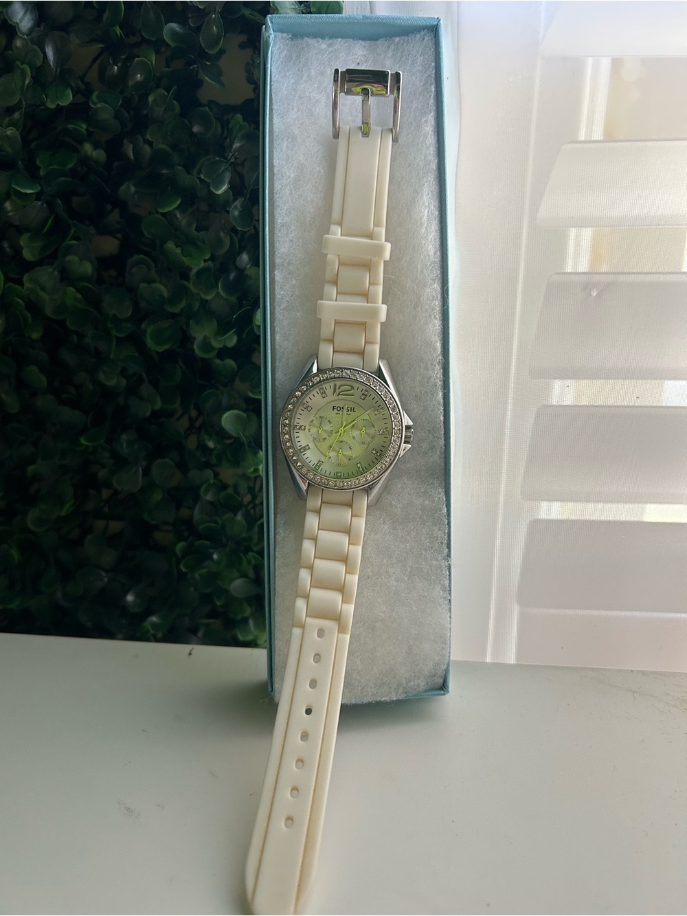 Fossil watch